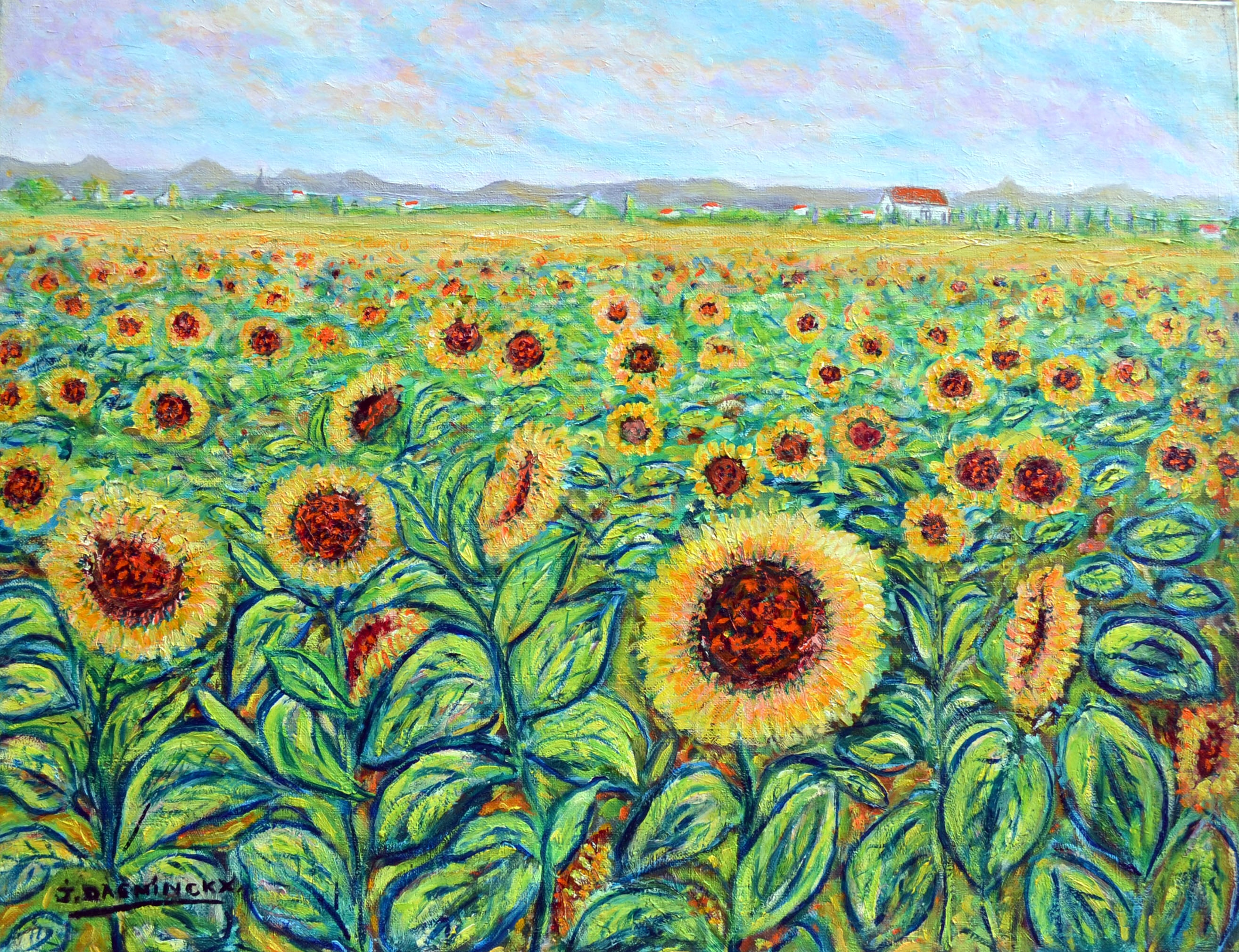 Le champs de tournesols